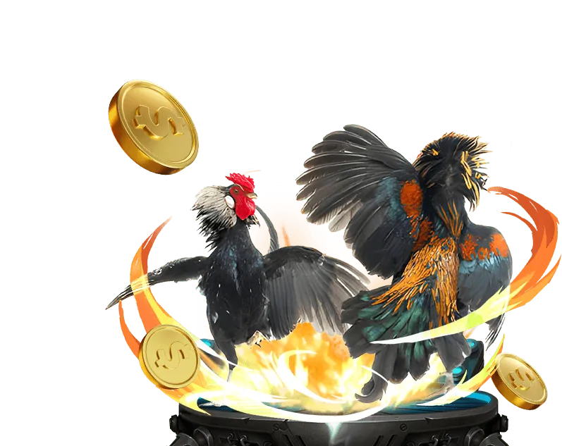 Cam kết với người chơi shbet